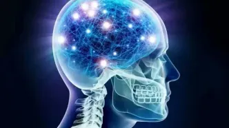 دانشمندان راز بازگشت جوانی را کشف کردند