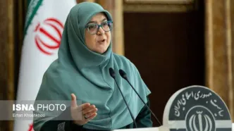 توضیح سخنگوی دولت درباره اقدامات کمیته حقیقت‌یاب حوادث دی‌ماه