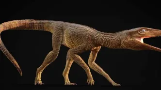 کشف تمساح ۲۱۵ میلیون ساله