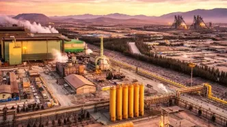 نگاهی جامع به صنعت فولاد ایران؛ از روندهای جهانی تا عملکرد شرکت‌ها