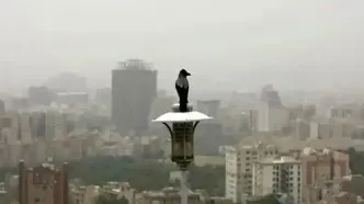 ارتباط نگران‌کننده آلودگی هوا با بیماری شایع قرن!