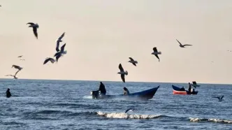 دریای خزر در حال پسروی؛ آب سالی ۸۸ متر عقب می‌رود، برخی مناطق تا ۱۲۰۰ متر