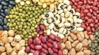 افزایش شدید قیمت حبوبات/ گرانی بیشتر در راه است