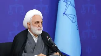 ‌اژه‌ای: اهانت به پرچم ایران در دانشگاه‌ قابل‌قبول نیست