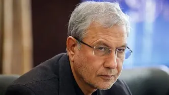 علی ربیعی: معترضان خشمگین اکنون به معترضان غمگین تبدیل شده‌اند