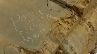 پیگرد قضایی در انتظار یادگاری‌نویس‌ها بر دروازه ملل تخت‌جمشید/ مرمت‌گران مستقر و از وندال‌ها شکایت شد