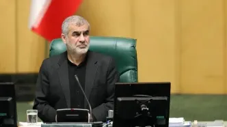 پیگیری تراستی‌ها و پول نفت در مجلس/  نایب رییس مجلس: پول‌ها چه با همکاری «بابک زنجانی» و چه هر فرد دیگری بازنگشته باشد، باید به بیت‌المال برگردد