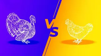 گوشت مرغ همچنان گران؛ جدول قیمت مرغ و بوقلمون امروز یکشنبه ۲۶ بهمن ۱۴۰۴