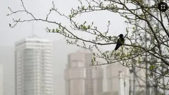 شاخص آلودگی هوای تهران امروز یکشنبه ۱۰ اسفند / انفجار ذرات معلق در کمربند جنوبی پایتخت