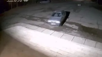 حمله گرگ به یک دانشجو در دانشگاه زنجان؟