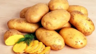 سیب‌زمینی؛ غذای ساده‌ای برای آرامش معده، کنترل قند خون و کمک به کاهش وزن!