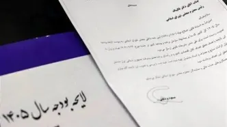 فوری: شوک بزرگ در اجرای بودجه 1405! فقط یک ضابطه، پایان کابوس ده‌ها آیین‌نامه!