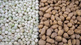 نرخ سیب‌زمینی و پیاز در سال آینده مشخص شد+ جزییات