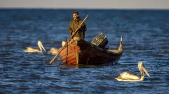 تصاویر؛ صید ماهی به روش پره در خزر