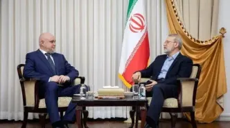 لاریجانی: فشارهای غرب نتوانسته همکاری‌های راهبردی ایران و روسیه را متوقف کند