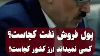 آیا پاسخ پرسشِ تاریخی "پول نفت کجاست؟" در سامانه بانک مرکزی و گزارش ۲۱۲ متخلف نهفته است؟ + ویدئو