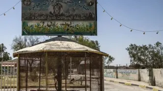 باغ‌وحش جنجالی در هویزه پلمب شد