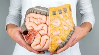 این خوراکی مخصوص کسانی که است که نگران گوارش خود هستند