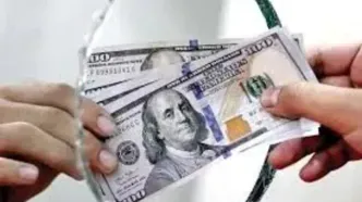 آمار حیرت‌انگیز همتی / بازار ارز زیر و رو شد