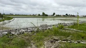 شرایط دیوارکشی اراضی کشاورزی/ با تغییر کاربری غیرمجاز برخورد می‌شود