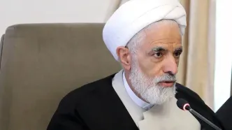 معاون پزشکیان: مستندسازی خسارات حوادث دی‌ماه در حال انجام است