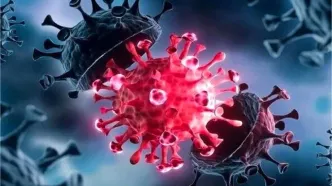 خروج تمام استان ها از موج آنفلوآنزا