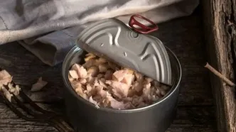 آیا خوردن روزانه ماهی تُن بی‌خطر است؟