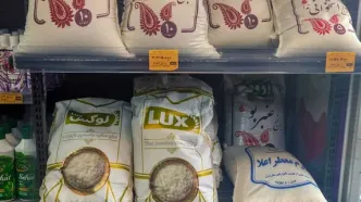 قدرت خرید با اعتبار یک‌ میلیون تومانی کالابرگ چقدر پایین آمد؟