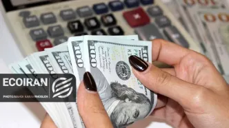 آخرین قیمت دلار امروز سه شنبه 13بهمن/ کاهش قیمت + جدول