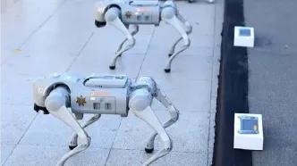 کمک سگ‌های رباتیک به تامین امنیت جام جهانی ۲۰۲۶