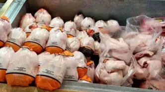مرغ ارزان شد/ علت افت شدید قیمت مرغ در بازار چیست؟