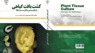 «کشت بافت گیاهی» در بازار نشر