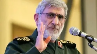 قاآنی: حامیان اغتشاشگران نتیجه اقدامات‌شان را می‌بینند