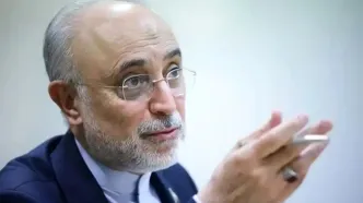 از نظر منطقی عقلی و تحلیل درست، بعید به نظر می‌رسد که شاهد یک درگیری باشیم/ مسیر مذاکرات مثبت بوده است