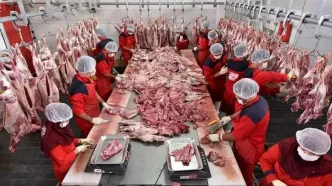 تهاتر گوشت با گاز کلید خورد