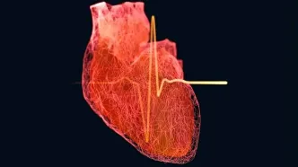 خطر بیماری قلبی در مردان از ۳۵ سالگی آغاز می‌شود