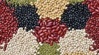 اعلام قیمت انواع حبوبات غیرشرکتی