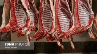 قیمت گوشت قرمز در بازار ریزشی شد | گوشت سه دلاری در راه بازار