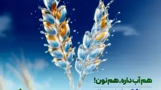 حمایت 74 هزار میلیارد ریالی بانک کشاورزی از مدیریت بحران آب با توسعه گلخانه ها