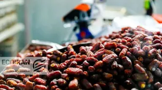 قیمت خرما مضافتی درجه یک در تهران چند؟