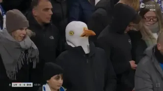 ویدئو: حضور جنجالی «مرغ دریایی» مقابل لیورپول