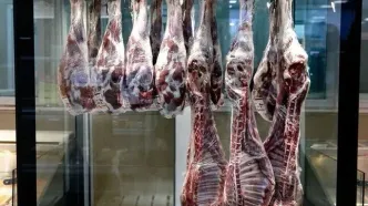 عرضه گوشت گوسفندی مغولی یخ‌زده ۷۵۰ هزار تومان؛ گوشت هندی ۷۳۰ هزار تومان