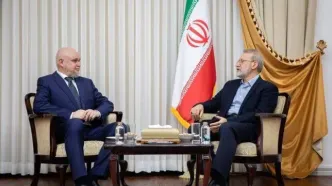 انتقاد لاریجانی از غرب