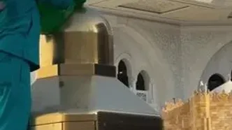 جا خوش کردن زنبورهای عسل روی مقام ابراهیم