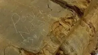 یادگاری‌ جنجالی از دروازه ملل تخت جمشید پاک شد