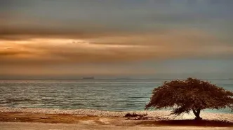 ماجرای لرزه‌های پیاپی در عسلویه چیست؟