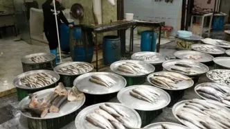 قیمت ماهی قزل آلا | قیمت فیله ماهی | قیمت ماهی سفید | قیمت ماهی امروز پنجشنبه ۷ اسفند ۱۴۰۴