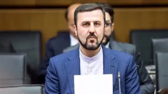 غریب آبادی: ناوهای فرانسوی در تنگه هرمز از ایران پاسخ می‌گیرند