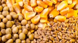 عرضه اوراق گام برای تأمین ارز واردات نهاده