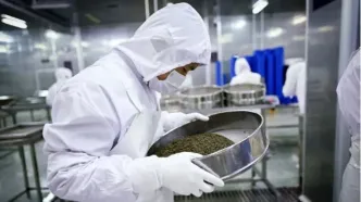 چین درحال تصاحب بازار خوراکی‌های لوکس جهان | تنوع جغرافیایی برگ برنده شد | مقابله فرانسه و ژاپن با رقیب جدید